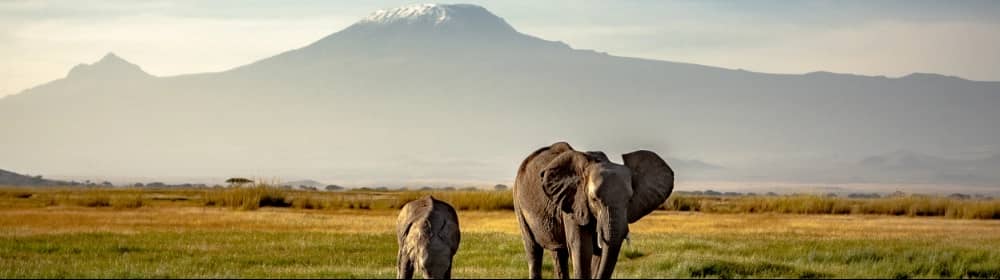 Kenya